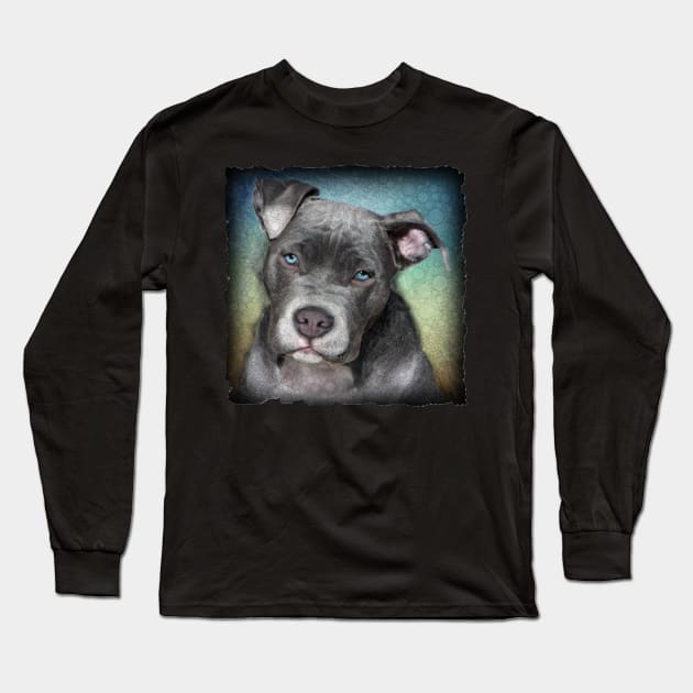 Pitbull Blue Eyes Long Sleeve T-Shirt by PhotoArts